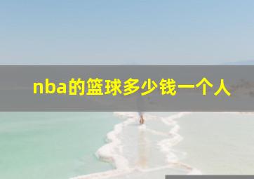 nba的篮球多少钱一个人