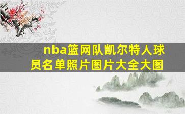 nba篮网队凯尔特人球员名单照片图片大全大图