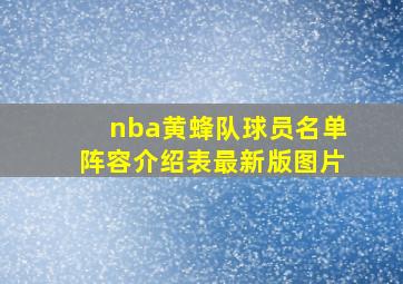 nba黄蜂队球员名单阵容介绍表最新版图片