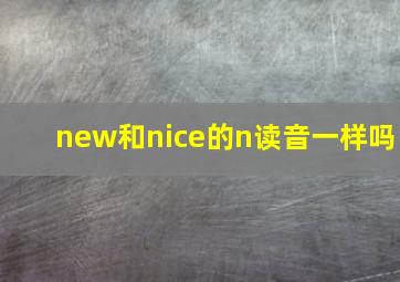 new和nice的n读音一样吗