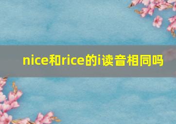 nice和rice的i读音相同吗