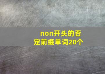 non开头的否定前缀单词20个