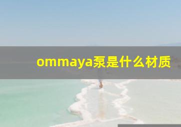 ommaya泵是什么材质