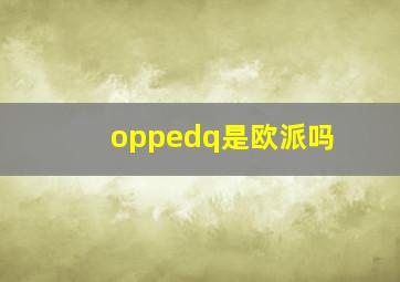 oppedq是欧派吗