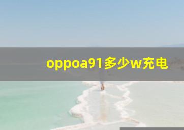 oppoa91多少w充电