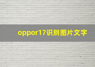 oppor17识别图片文字