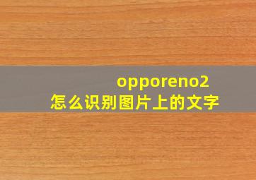 opporeno2怎么识别图片上的文字