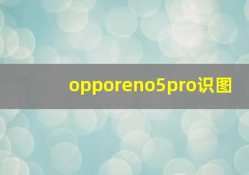 opporeno5pro识图