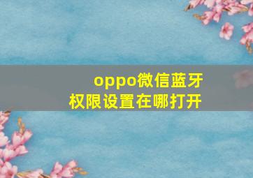 oppo微信蓝牙权限设置在哪打开