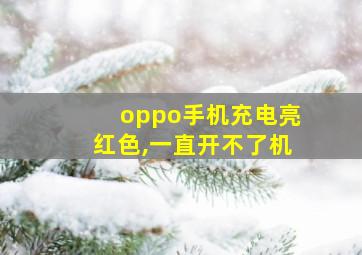 oppo手机充电亮红色,一直开不了机