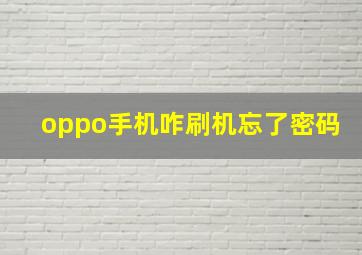 oppo手机咋刷机忘了密码