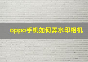 oppo手机如何弄水印相机