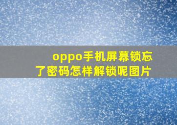 oppo手机屏幕锁忘了密码怎样解锁呢图片