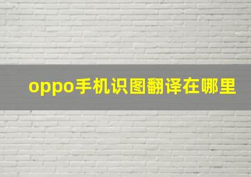 oppo手机识图翻译在哪里