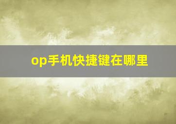 op手机快捷键在哪里