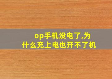 op手机没电了,为什么充上电也开不了机