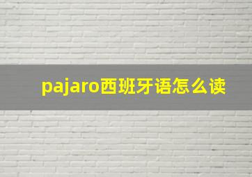 pajaro西班牙语怎么读