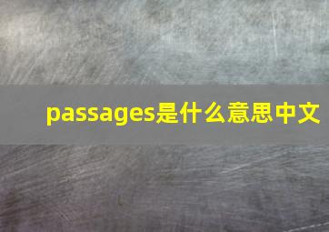 passages是什么意思中文