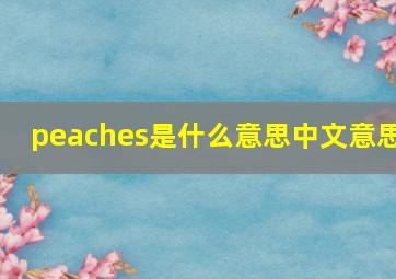 peaches是什么意思中文意思