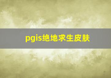 pgis绝地求生皮肤