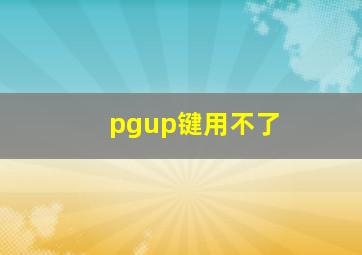 pgup键用不了