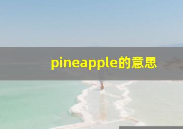 pineapple的意思