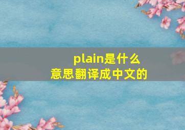 plain是什么意思翻译成中文的