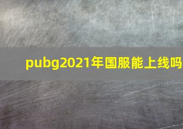 pubg2021年国服能上线吗