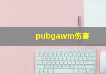 pubgawm伤害