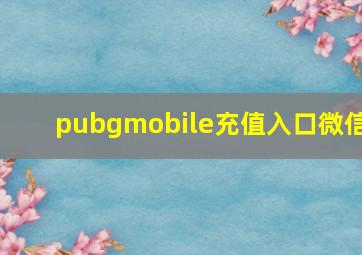 pubgmobile充值入口微信