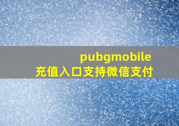 pubgmobile充值入口支持微信支付