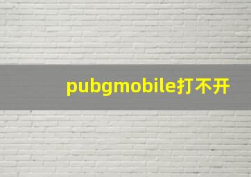 pubgmobile打不开