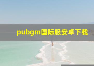 pubgm国际服安卓下载