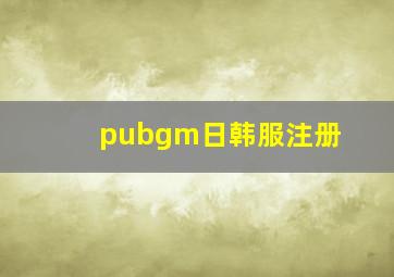 pubgm日韩服注册