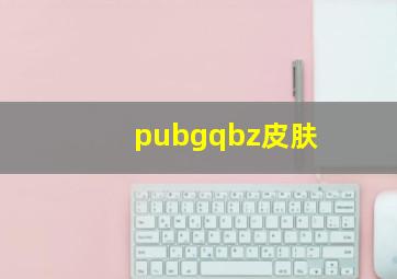 pubgqbz皮肤