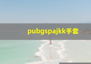 pubgspajkk手套