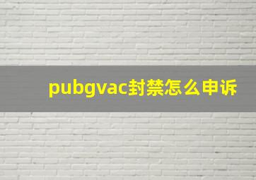 pubgvac封禁怎么申诉