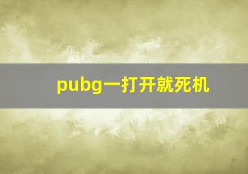 pubg一打开就死机