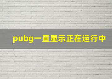 pubg一直显示正在运行中