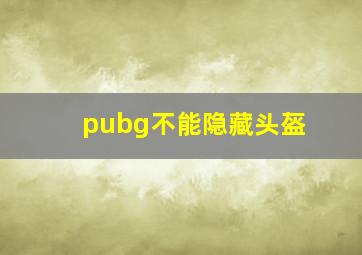 pubg不能隐藏头盔