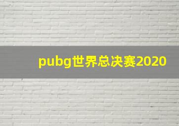 pubg世界总决赛2020