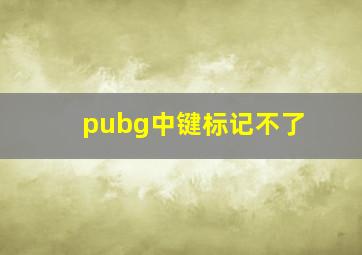 pubg中键标记不了