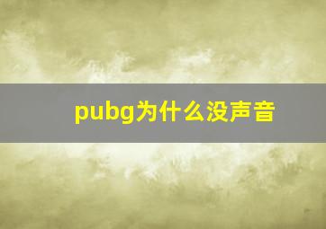 pubg为什么没声音