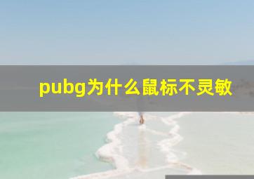 pubg为什么鼠标不灵敏