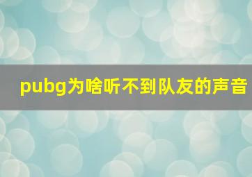 pubg为啥听不到队友的声音