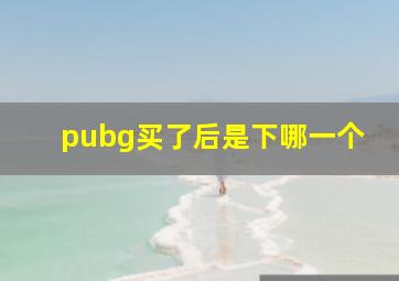 pubg买了后是下哪一个