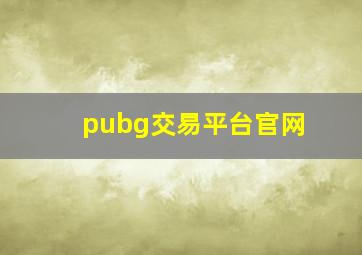 pubg交易平台官网