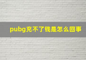 pubg充不了钱是怎么回事