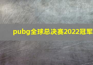 pubg全球总决赛2022冠军