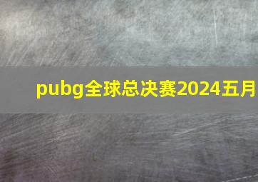 pubg全球总决赛2024五月